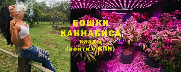 крисы Богданович