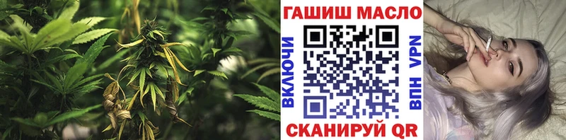 ТГК жижа  дарнет шоп  Онега 