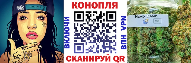 Бошки марихуана план  даркнет сайт  Онега 